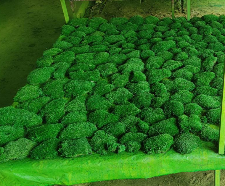 微信截图_20230718170721