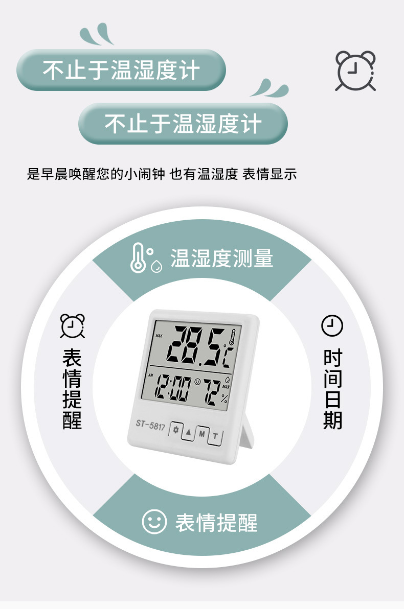 5817带型号温湿度计_01 (2)