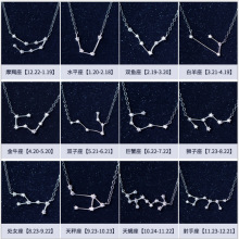 韩版s925纯银批发ins时尚镶钻十二星座吊坠守护项链短款锁骨链女