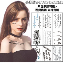 3DС����������С������ĸ���պ�����ֽ���ҿ�������������TATTOO