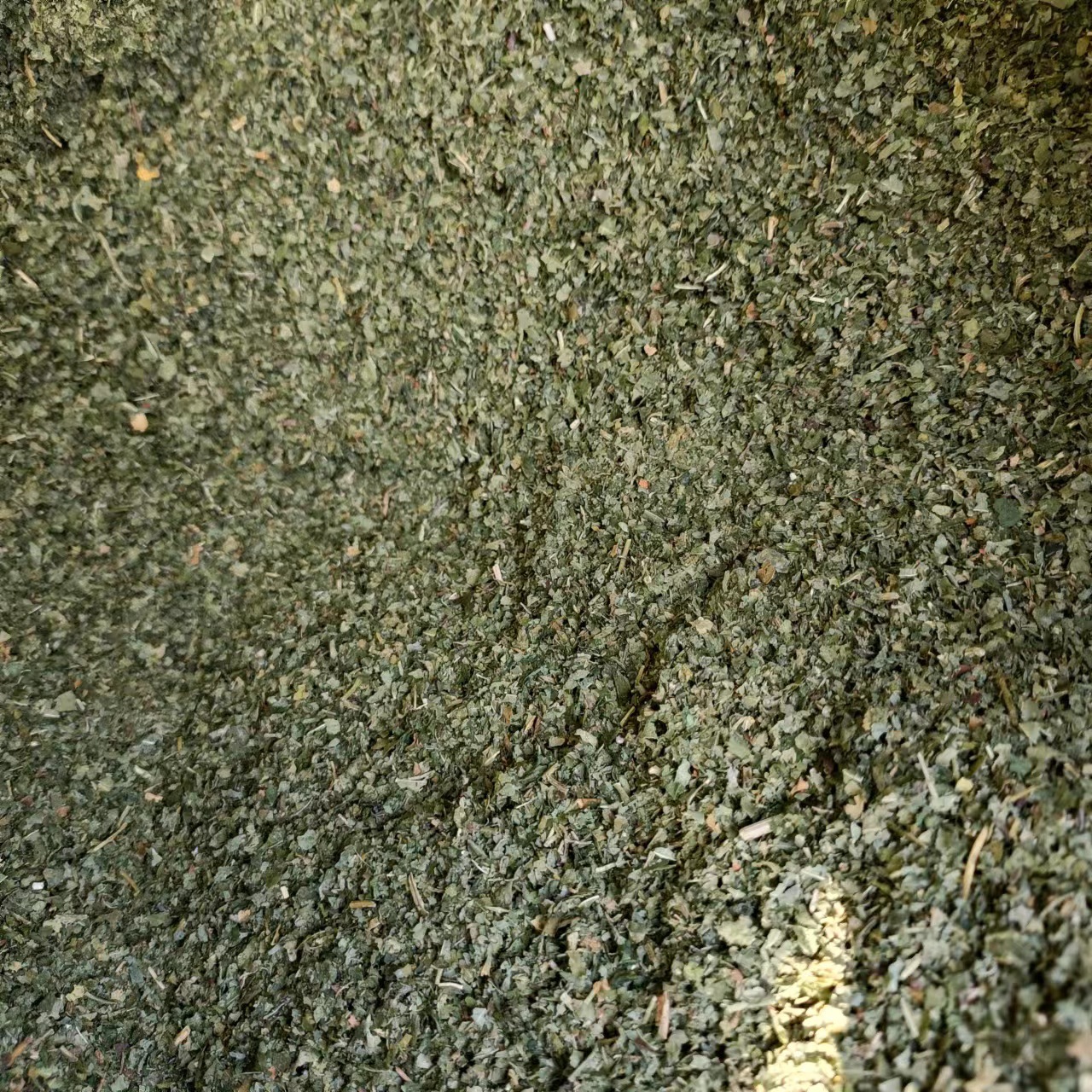 Bagged Filling Cat Grass Leaf Dry Powder Fun Catnip Toy_voghion.com