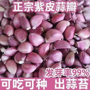 ����N����Ƥ��N��N�Ӵ���N��̦�N̦��N��Ƥ�������N�N�ӏS