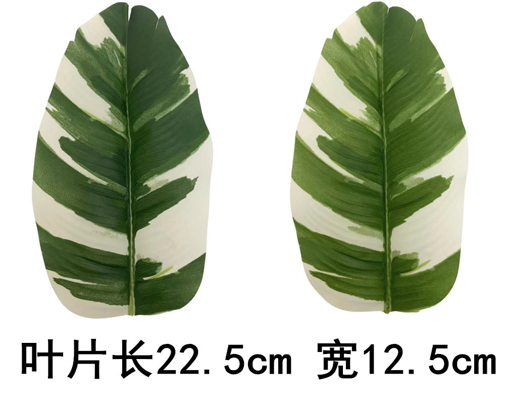未命名_副本