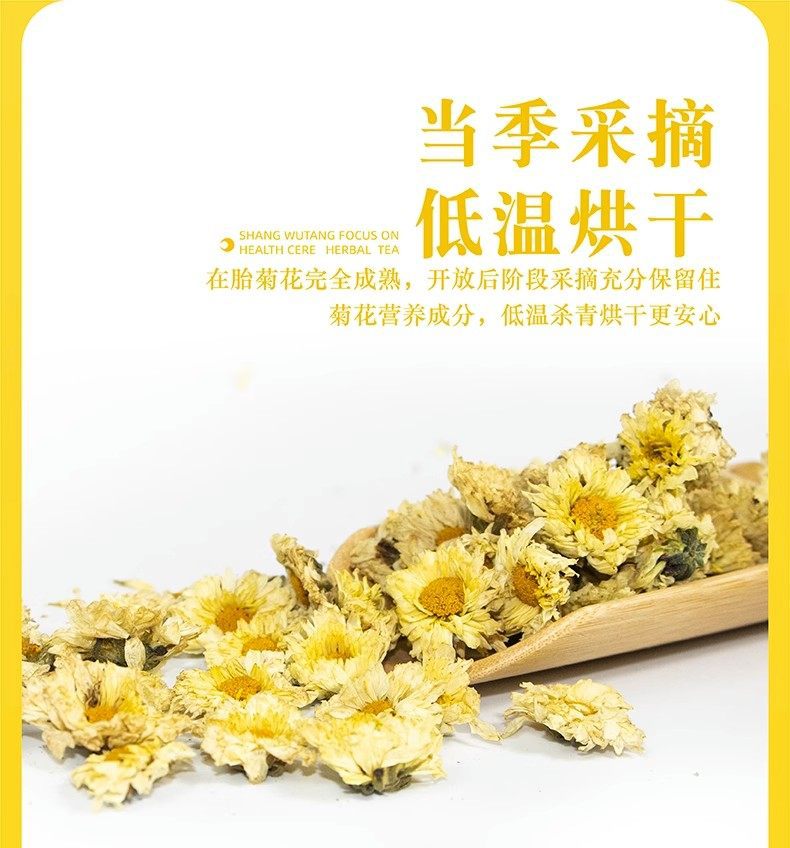 Hang Bai Ju Chrysanthemum Tea 500g Premium Tongxiang White Chrysanthemum Buds for Daily Brewing specifications
