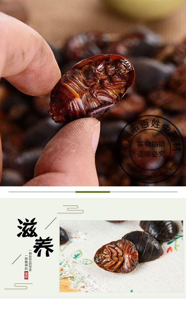 Dried Ground Beetle Tu Bie Chong 500g Loose Traditional Chinese Herb specifications