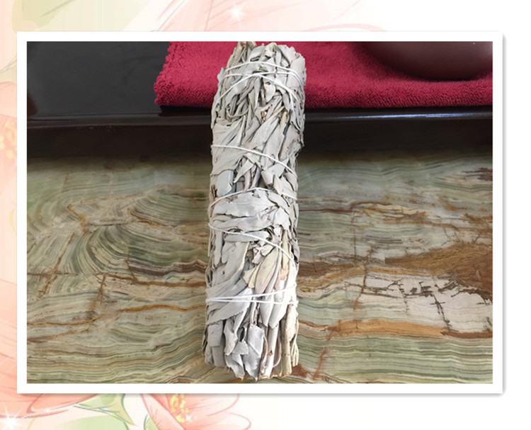 澳洲白鲍鱼贝壳大海螺创意家居摆件烧鼠尾草容器观赏鱼缸盆栽装饰 图 11