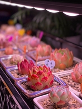 ?LEDֲ�����L��ȫ���V�����a�����ɫ�҃����ָ�����΢���^