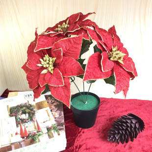 �}�Q�����Է���һƷ�t�}�Q��Ʒ��t�����[��A�b��滨