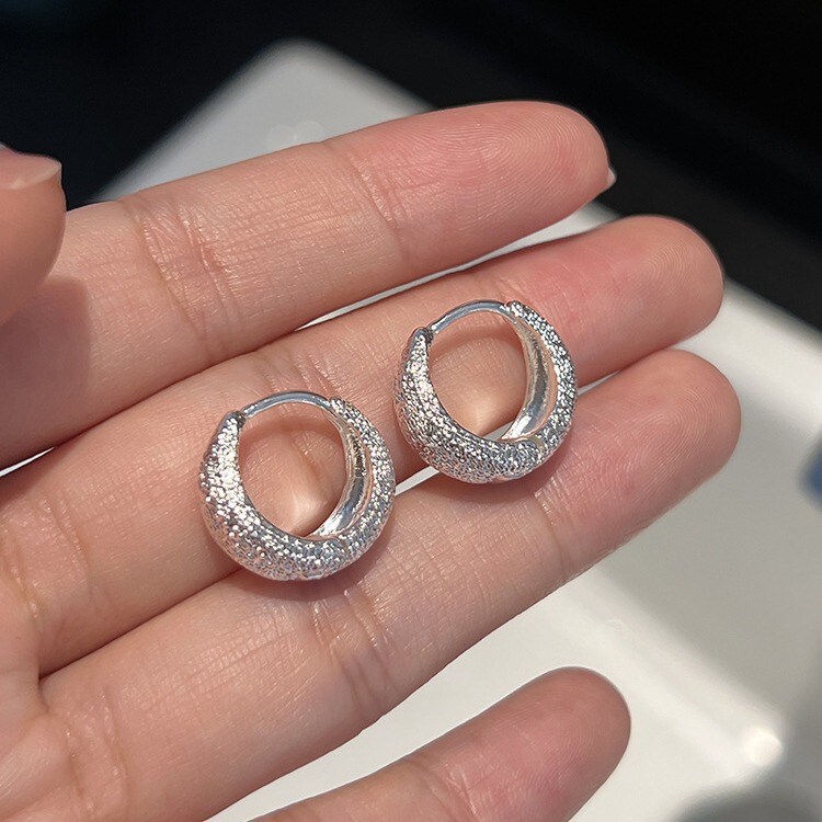 Starry Sky Frosted Plain Hoop Earrings Versatile Design High-End Metal Earrings New Style Minimalist Earrings Starry Sky Frosted Plain Hoop Earrings Versatile Design High-End Metal Earrings New Style Minimalist Earrings