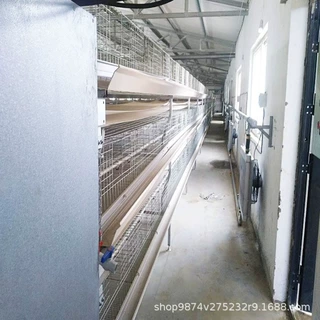 新款养殖笼 现代化自动养鸡设备 多层立体笼子 养殖场常用鸡笼