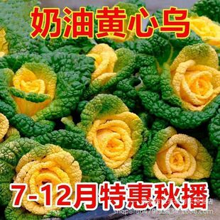 �����S�Ğ��N���ͺ��S�Ğ����˷N�Ѿջ�������ļ��߲˷N���ﶬ��