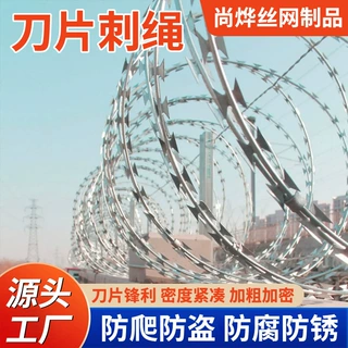 镀锌刀片刺绳围墙防爬刺网监狱厂区安防隔离刺绳刀片刺网支持定制