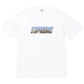 B346 gotham city white
