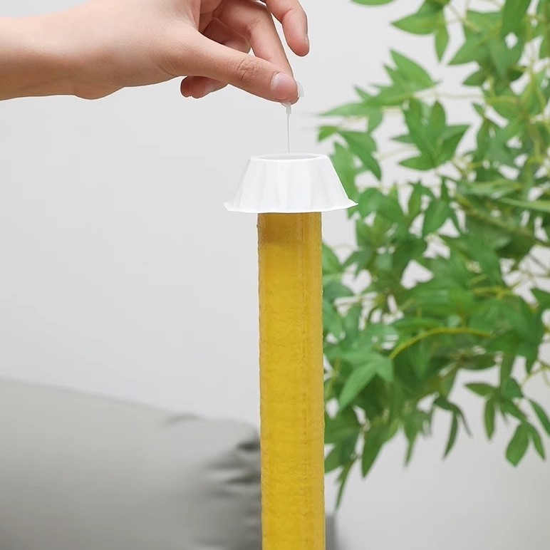 诱蝇棒苍蝇贴粘蝇棒粘苍蝇果蝇诱捕器厨房苍蝇捕捉神器黄色诱虫棒|undefined