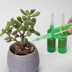 Hydroponic Plant Universal Nutrient Solution, Lucky Bamboo Hydroponic Fertilizer, Money Tree, Pothos, Flowering Plants, Indoor Plant Flower Fertilizer