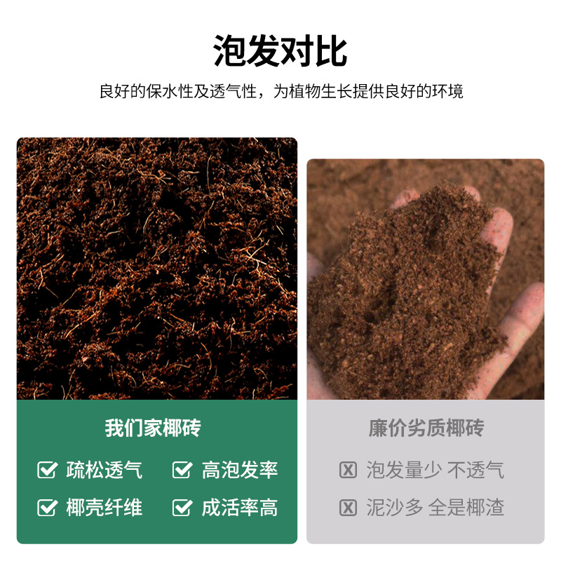Coconut brick nutrient soil wholesale coconut bran seedling block succulent soil green plant compound fertilizer flower and vegetable planting soil