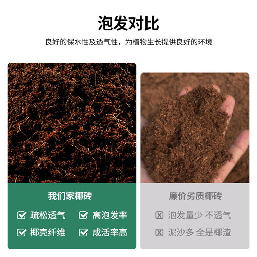 Coconut brick nutrient soil wholesale coconut bran seedling block succulent soil green plant compound fertilizer flower and vegetable planting soil