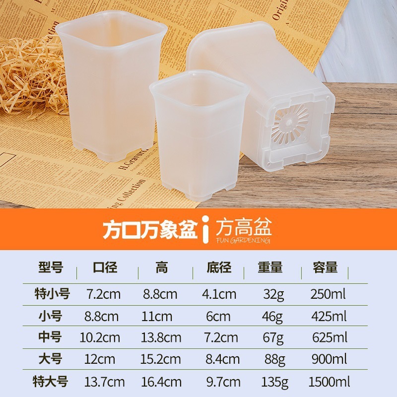 5 cuadrados de Vientiane (claro)