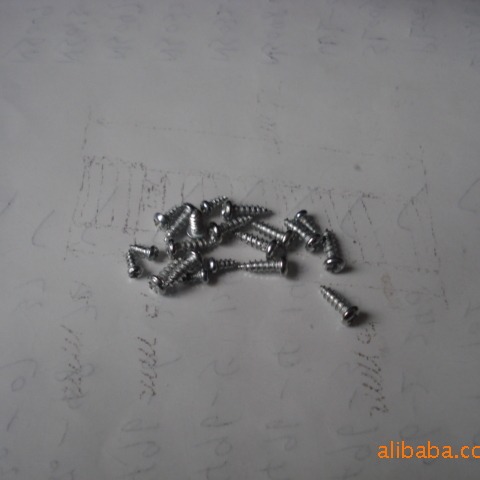 供应微型自攻螺丝(图)