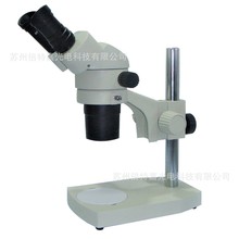 �؃r���w�@΢�R20/40���Q��׃����W�@΢�R�S�� ���w�Џ�