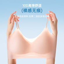 �ļ���˿�޺�10D�����̶�����֧������С�ؾ�£������ر���͸��