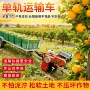 单轨地形山地果园轨道车