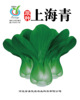 Small packaging Various vegetable seeds 8*10 cm small packaging can be used as gift vegetable seed factories wholesale