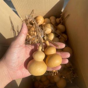 Hand-twisted gourd wenplay handlebar ornaments small eight treasure gourd with faucet currency Liaocheng origin straight hair