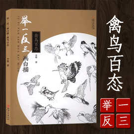 举一反三画白描 禽鸟百态 工笔画线描国画绘画技法画法画集图谱