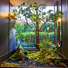 ��Ʒ�����R��ľ�����쾰ֲ���҃ȸ߶˷����Gֲ���ͼ٘侰�^�b�