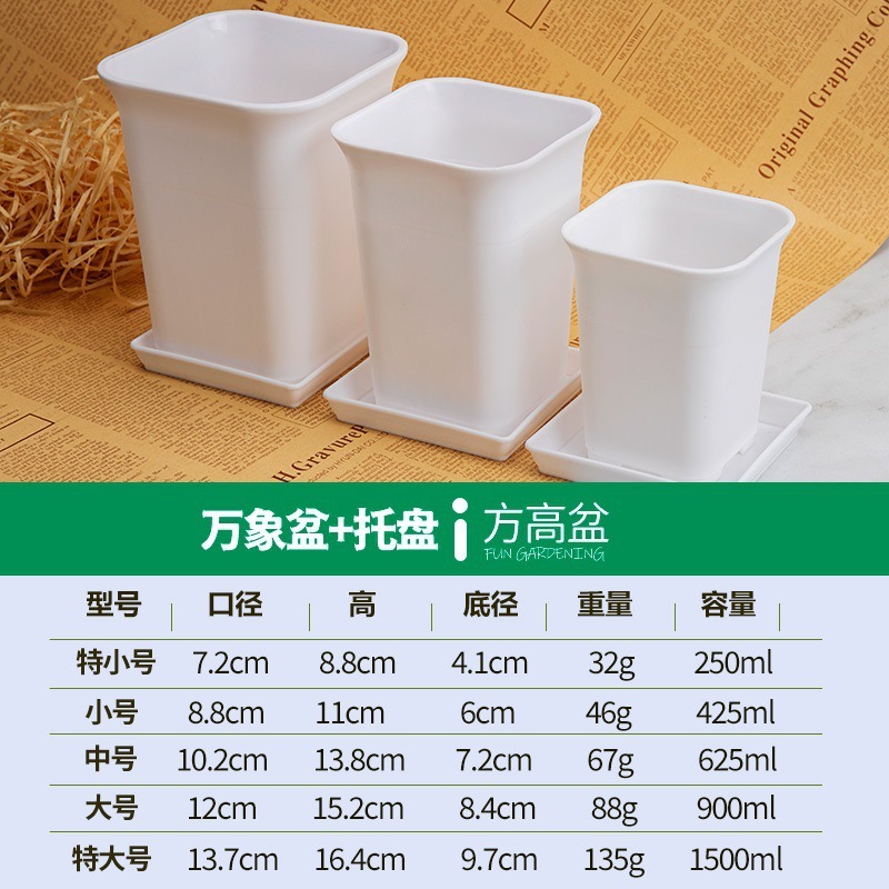 5 bandejas cuadrados de Vientiane (blanco)