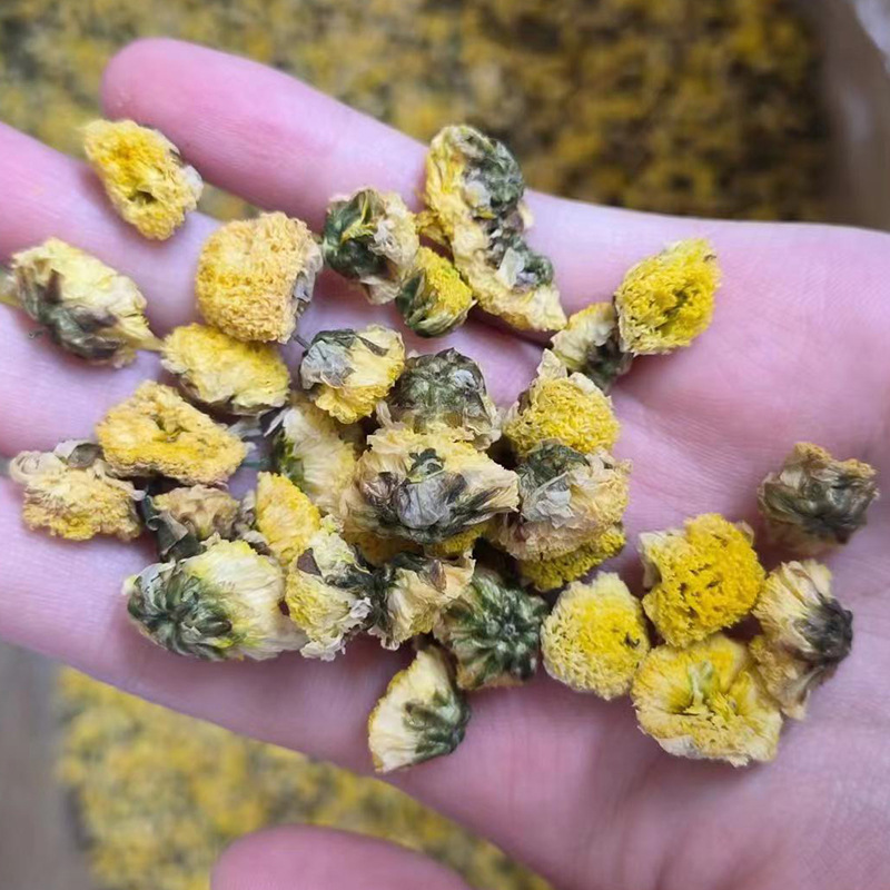 Wild Chrysanthemum Flower Ye Ju Hua 500g Dried Herbal Tea Bulk New Harvest quality and texture