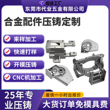 锌合金压铸定制加工五金配件加工零件铝铜精密压铸厂家