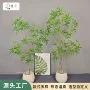 商场仿真盆栽细叶绿植