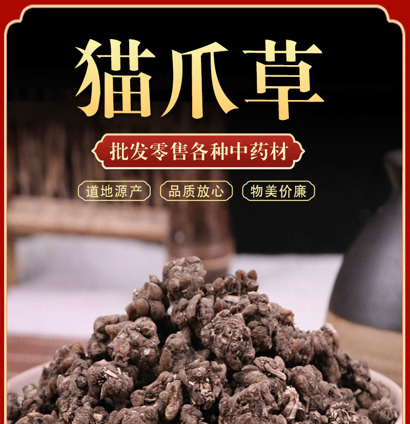 Mao Zhua Cao (Ranunculus ternatus) — Washed Dried Cat's Claw Herb for Tea & Soup overview