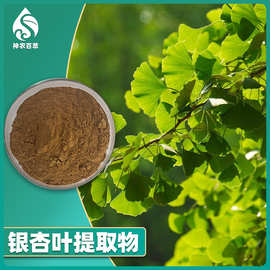 银杏叶黄酮24% 银杏叶提取物 食品级原料水溶性银杏叶粉