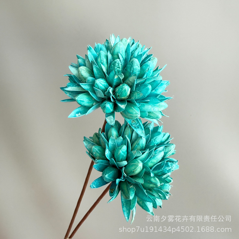 Yulan Ball Blue 2