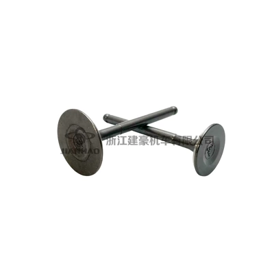 Valve Exhaust – Motorcycle engine and accessories