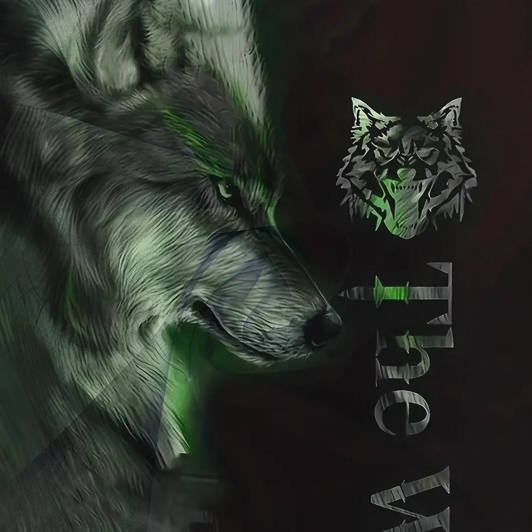 Eslóganes de lobo transfronterizo de AliExpress de Europa y América estampados en 3D Personalidad de la calle principal de los hombres Camiseta suelta de manga corta con cuello redondo