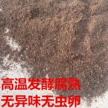 �l�͸��쵾����������͸�����ֲ�ﻨ�܌�ͨ���¼��I�B����ֱ�N