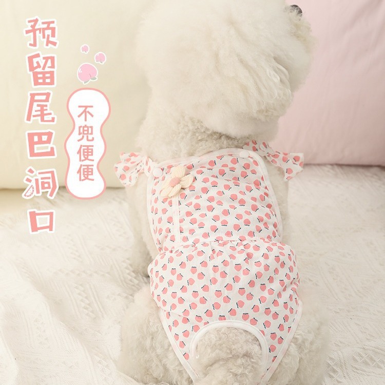Perro pantalones fisiológicos mascota perro hembra oso pantalones de seguridad shengbo peluche hembra perro pequeño menstrual artefacto tía Pantalones