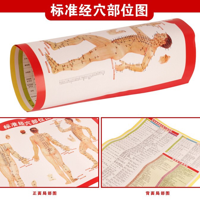 Human Body Moxibustion Acupuncture Point Chart, Moxibustion Chart, Human Body Meridian Acupuncture Point Chart, Moxibustion Therapy Book, Cupping, Gua Sha, Massage