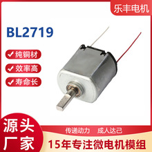 BL2719������������������ˢ���ͷ����Ħ�ǵ綯��������������
