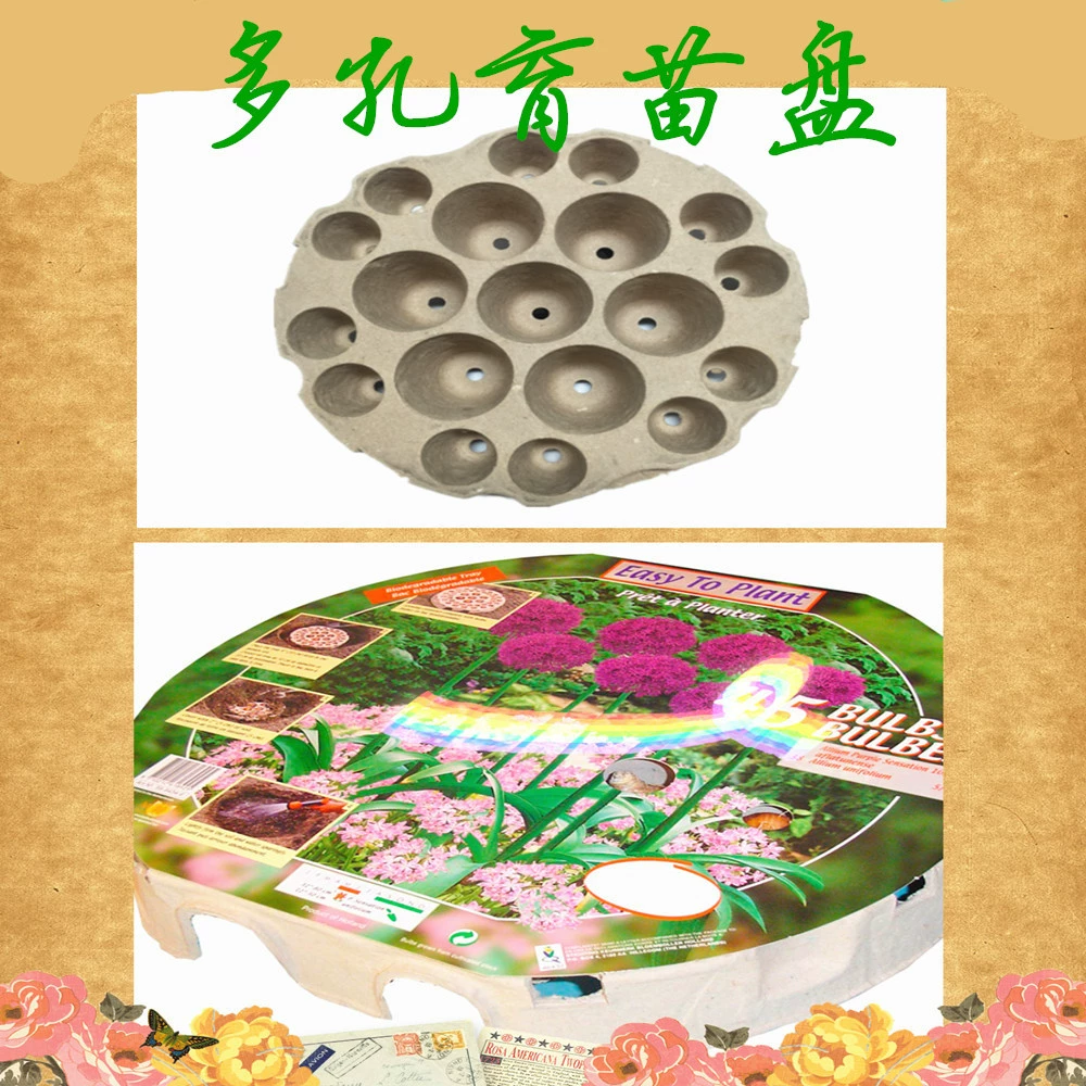 Одноразовая чашка для питания целлюлозы Пористая тарелка для рассады разлагаемой целлюлозы Круглый цветочный горшок Чашка для рассады артефакта почвы