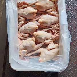 冷冻二级三黄鸡童子鸡7只到14只量大从优江浙沪皖包递19斤