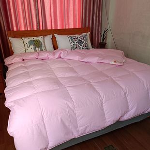 Factory professional custom cotton down quilt thickened white duck down winter quilt core wholesale gift quilt group purchase