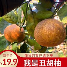 ����֎����c�������ڳ�ɽ΢�����Ӹ�ɽ�Nֲ�Ͽ͑􌣌������l