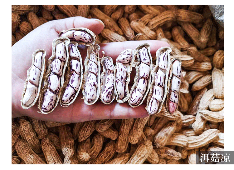 컬러풀 땅콩 500g