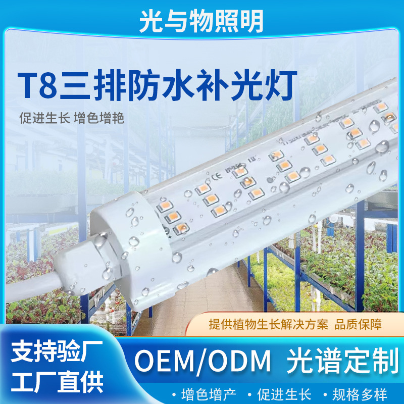 Led Waterproof T8 Three-Row Plant Grow Light for Shelf Cultivation of Bean Sprouts and Succulents, Color-Enhancing Lamp Tube, Growth Light