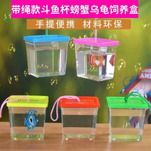 手提金鱼盒透气盒子斗鱼手提乌龟饲养盒乌龟斗鱼缸外带简易摆摊